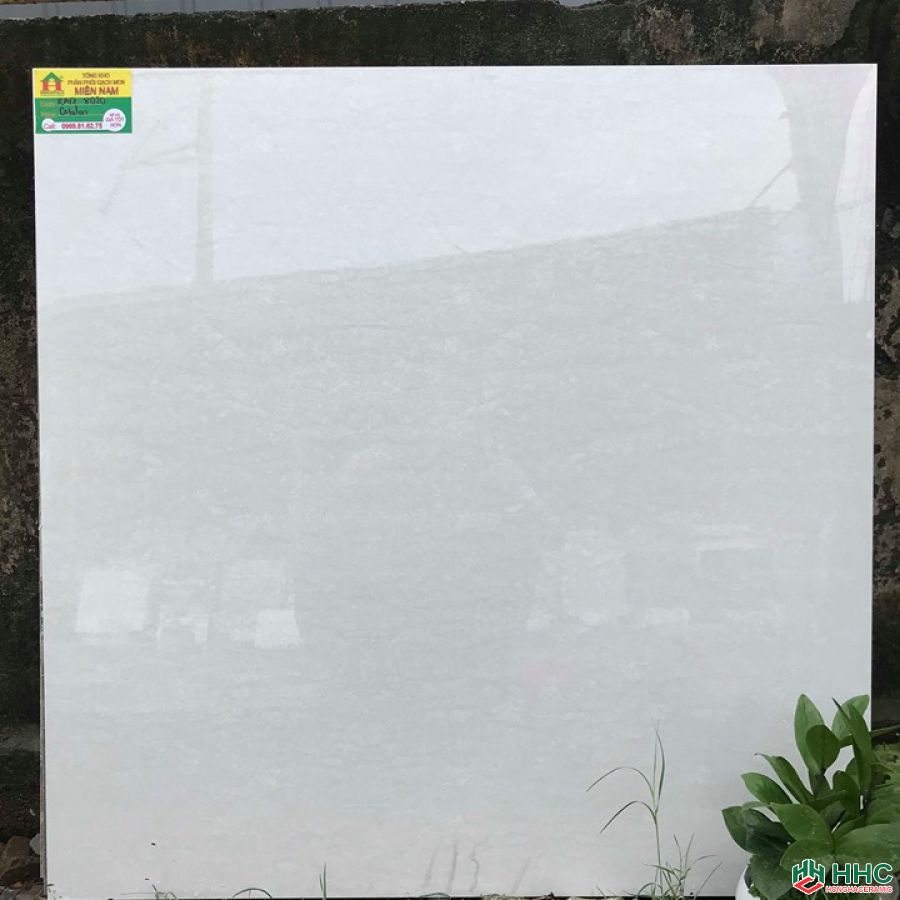 Gạch lát nền catalan 80x80 KA178020